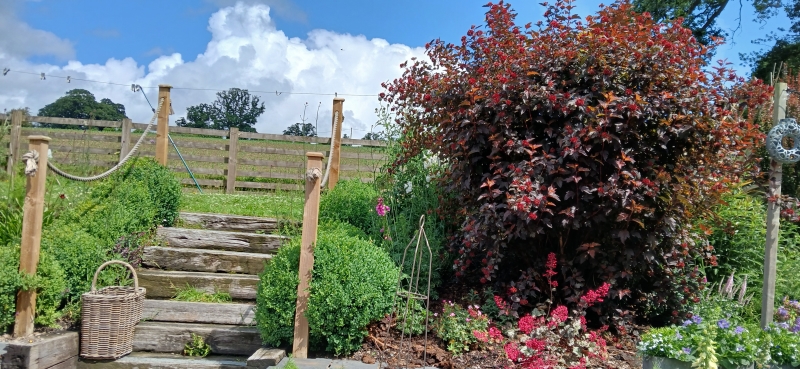 2 School Room Cottages